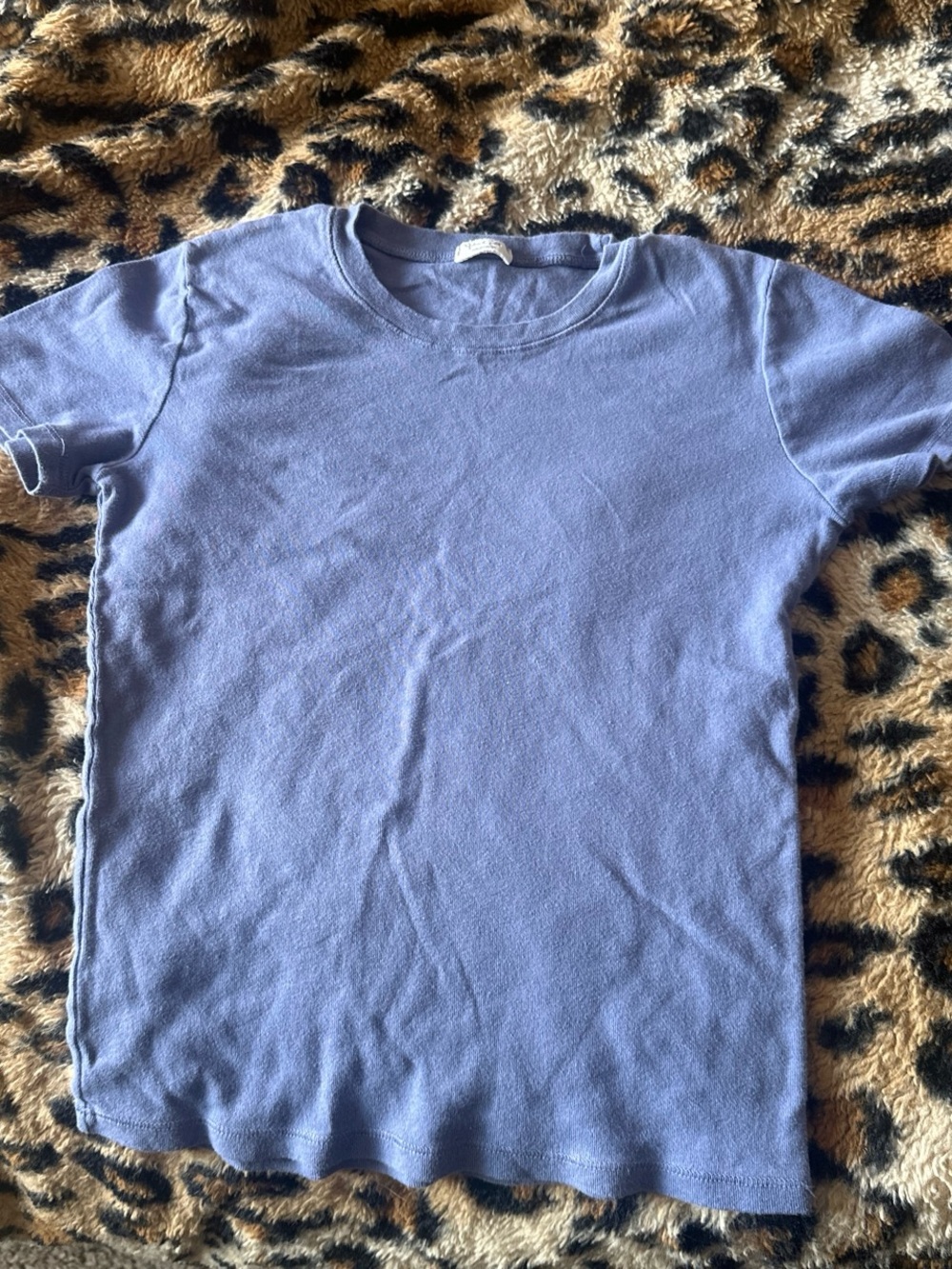 Brandy Melville Lavender Short Sleeve Tee